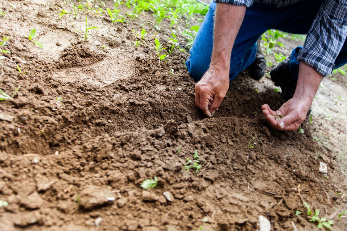 How to Start Your Own Green Business