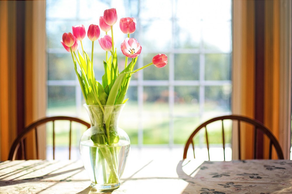 Choosing Flowers for Home Decor? Here is Everything You Should Know