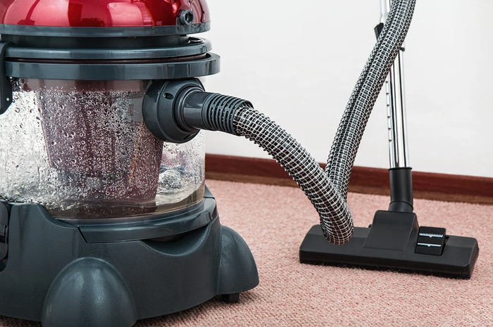 When is the Best Time to Clean Your Carpet