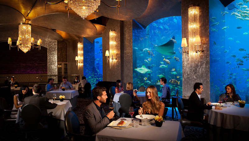 3 Most Luxurious Restaurants in New Zealand